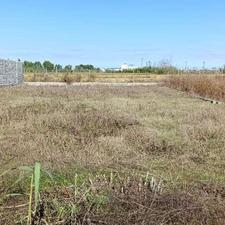 فروش زمین مسکونی 600 متری لکه زرد کیلومتر9 جاده دریا (شکار)