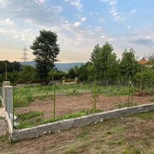 فروش زمین 250 متر در شکتا