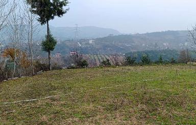 فروش زمین مسکونی 220 متری در ارتفاعات پایین کولا