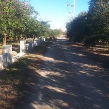 باغچه 350 متر در سیدآباد