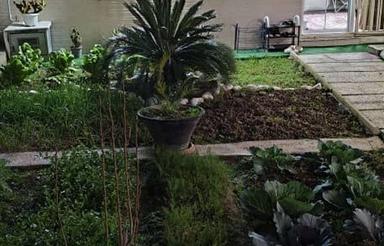 ویلا 178 متر در ابتدای جاده دریا چهار فصل