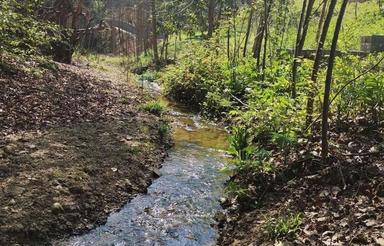 باغ 2200 متری جنگلی در پایین کولا