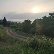 350متر باغچه جنگلی پایین کولا ساری