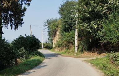 فروش باغ 1000 متری در پرچیکلا ساری