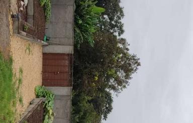 زمین مسکونی 259 متر در وارد محله