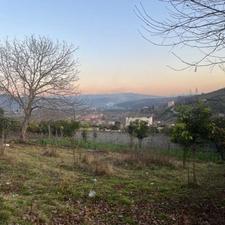 فروش زمین مسکونی 1000 متر در شکتا