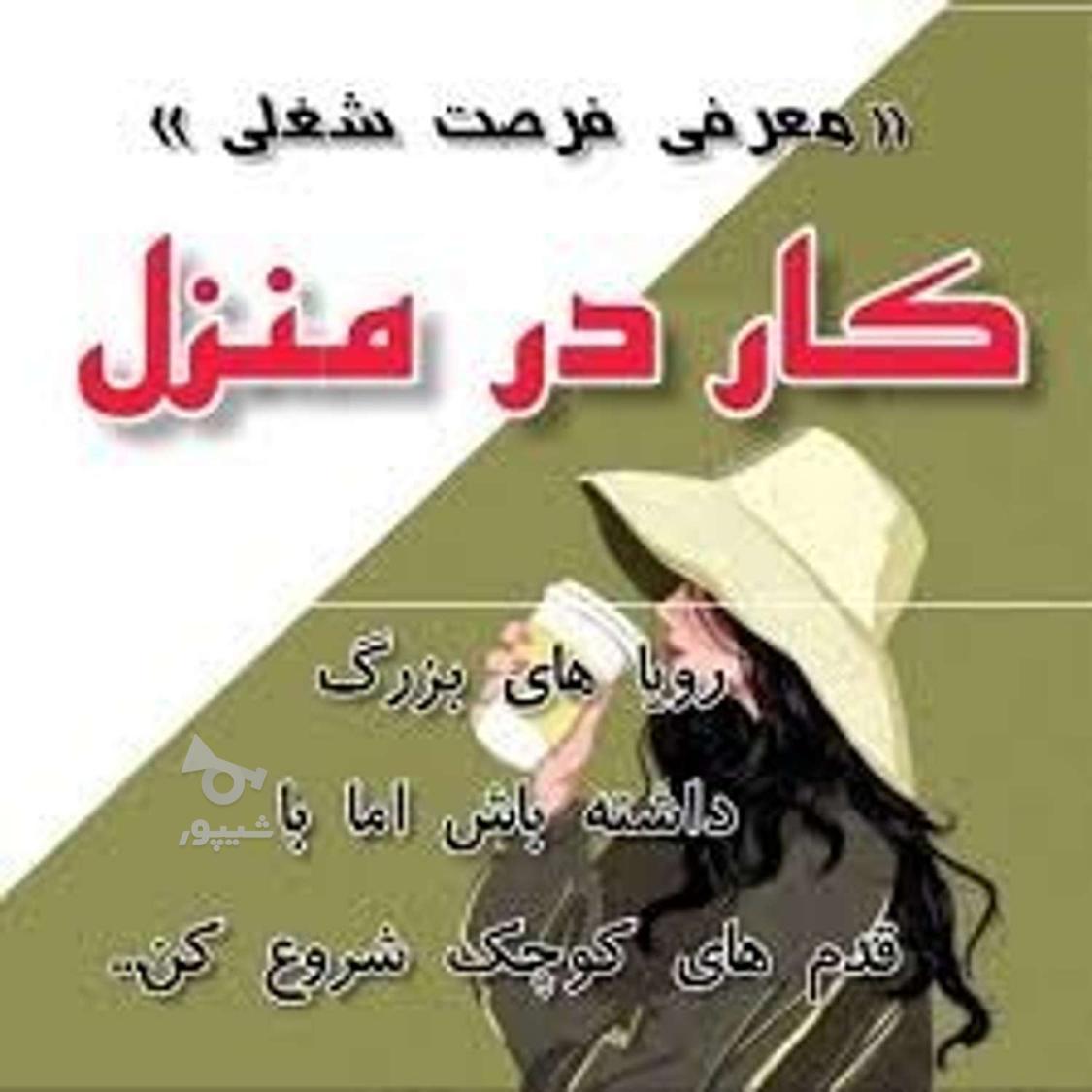 کار در منزل برای بانوان سرزمینم - Znbm_nk