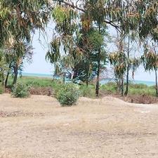 فروش زمین ساحلی 201 متر / جاده پلاژ ها/ کوچه شبنم