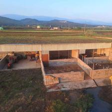 فروش دامداری و کشاورزی 22000 متر در چنگاز