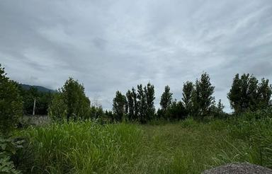 فروش زمین مسکونی 359 متر در تجن کلا - زوات