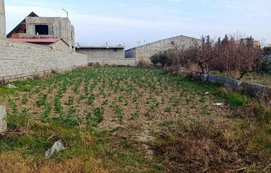 فروش زمین مسکونی 680 متراطرافش ویلا لاکچری آبمال