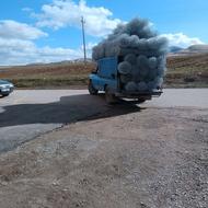 فنس بافی چیا