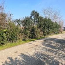 فروش زمین مسکونی 500 متری سندتک برگ در حسن سرا