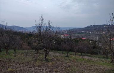 فروش زمین قابل ساخت 200 متر در بابلکنار