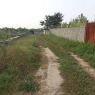 فروش زمین کشاورزی 500 متر 