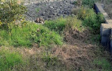 فروش زمین مسکونی 215 متر در گلیجان