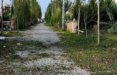 زمین مسکونی 180 متری در پارک جنگلی نور