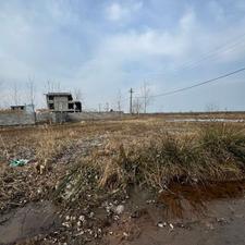 231 متر زمین ساحلی تاپ دو بر / پلاک یک دریا