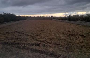 فروش زمین 3000 متر در بابلکنار