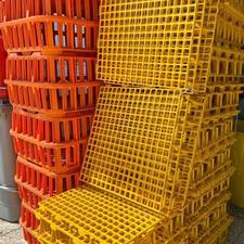 کفپوش زیر پای انواع مرغ بلدرچین اردک غاز جوجه و کبوتر