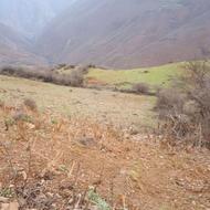 660 متر زمین واقع در دهکده ییلاقی فشکور
