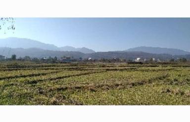  زمین کشاورزی 5000 متر در هلستان