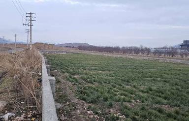 فروش زمین 3360 متر در کردان