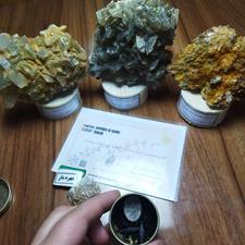 مهره مار اصل زنگی سیاه اکبند باقاب مخصوص