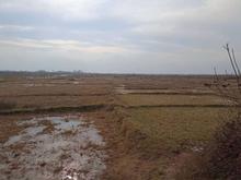 فروش زمین کشاورزی 15000 متر در مرکز شهر در شیپور