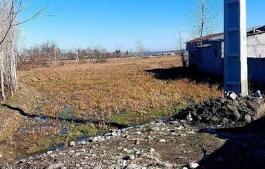 فروش زمین کشاورزی 250 متر در پارک جنگلی نور