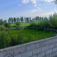 زمین 200 متر در بیشه کلا