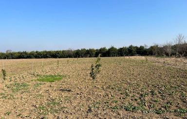 زمین 900 متری نزدیک بافت و جاده اصلی