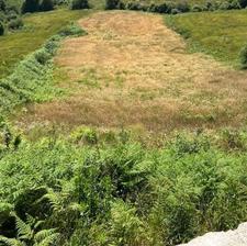 3100 متر زمین کشاورزی جاده بندر امیراباد