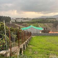 فروش زمین 300 متر در تنگ لته