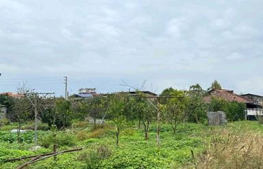 فروش زمین مسکونی 500 متری بافت آپارتمان سازی