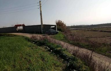 فروش زمین صنعتی 2700متر/کلکون