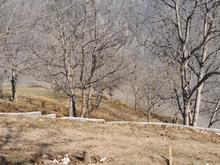 فروش زمین مسکونی 175متری بافت ییلاقی،کوهستانی در شیپور