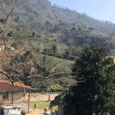 1600 متر زمین بکر در سرچشمه لاهیجان