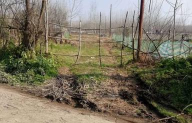 زمین طرح هادی500متر طاهرگوراب