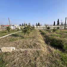 مسکونی/250 متر/مجوز ساخت،آمل/ویو جنگل