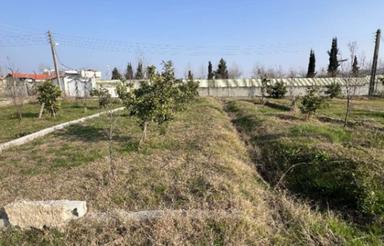 مسکونی/250 متر/مجوز ساخت،آمل/ویو جنگل