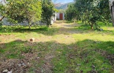 نقدیا معاوضه فروش زمین 367 متری در بابلکنار