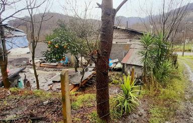 فروش زمین مسکونی 219 متر در زاکله بر