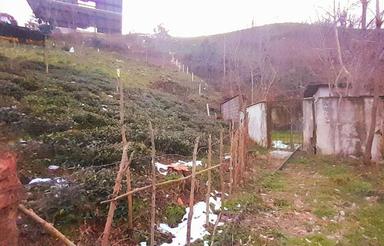 زمین 880 متر در سوستان