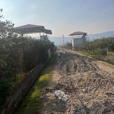 فروش باغ 2000 متر در پرچیکلا ساری