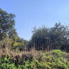 فروش زمین مسکونی 270 متر در خیابان هراز