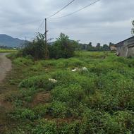 فروش زمین مسکونی 333 متر در جاده احمدسرگوراب