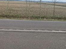 زمین کشاورزی 14,000 متری در شیپور