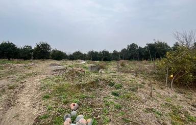 فروش زمین 400 متر در داروگر محله