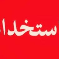 سبد سازی درمازندران خانواده ومجرد فوری